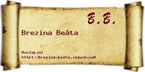 Brezina Beáta névjegykártya