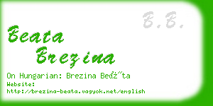 beata brezina business card